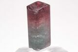 Bi-Colored Elbaite Tourmaline Crystal - Coronel Murta, Brazil #206250-4